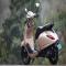 Bajaj Chetak 3001 is coming to create a stir, will get strong range and classic look; price will be affordable - Automobile News in Hindi