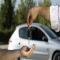 Want to Sell Your Old Car? Follow These 5 Steps to Boost Its Value - Automobile News in Hindi