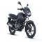 Bajaj Pulsar 125 Neon Review: A Fantastic Combination of Mileage and Power—Will It Become the King of the 125cc Segment - Automobile News in Hindi