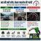 Driving at the right speed can boost mileage; find out the optimal speeds for highways and city driving - Automobile News in Hindi