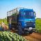 The Tata Azura 1918 offers excellent service and superior performance. - Automobile News in Hindi
